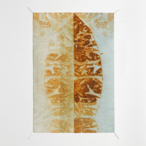 Untitled | 40 x 30 cm | 2015